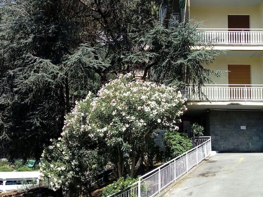 Alma Vacanza Ραπάλο Εξωτερικό φωτογραφία